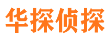 虞城市侦探